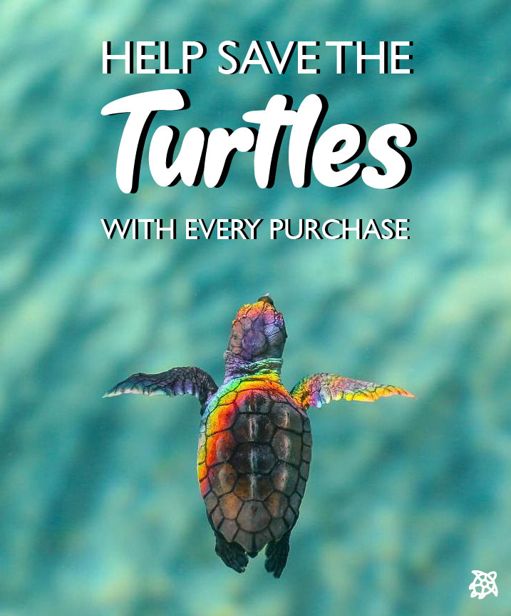 Reusable Straws - 10 Pack – Sea Turtle